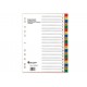 Divider / ATLAS Divider Gray with Printed Tabs A4, 20 Tabs
